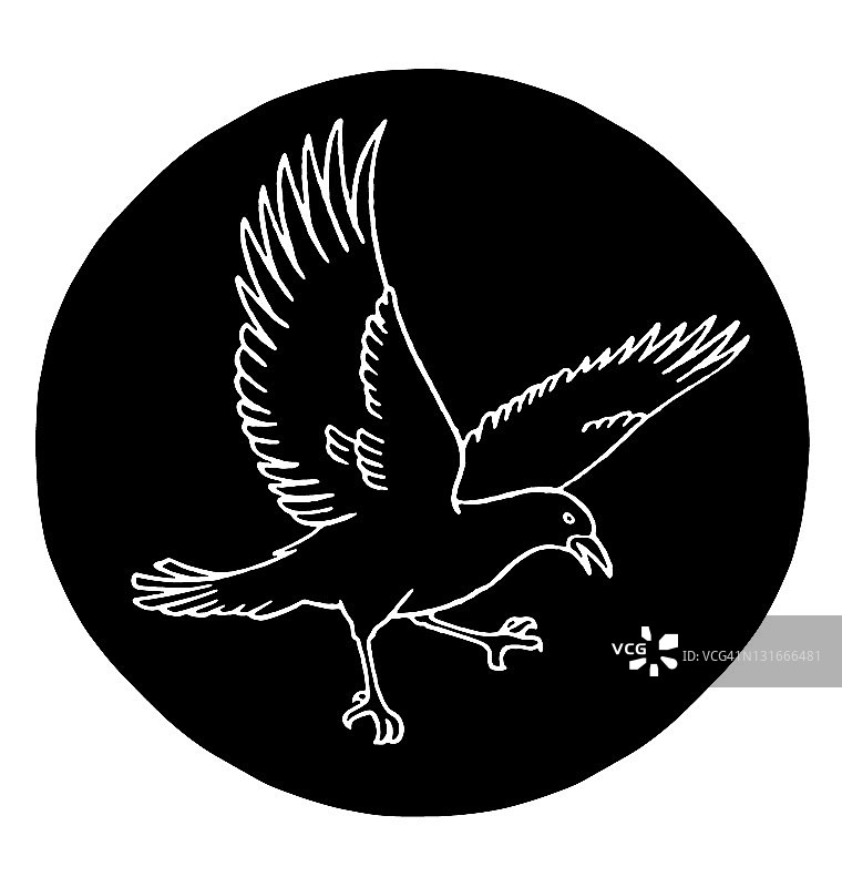 黑色圆圈中的鸟图片素材