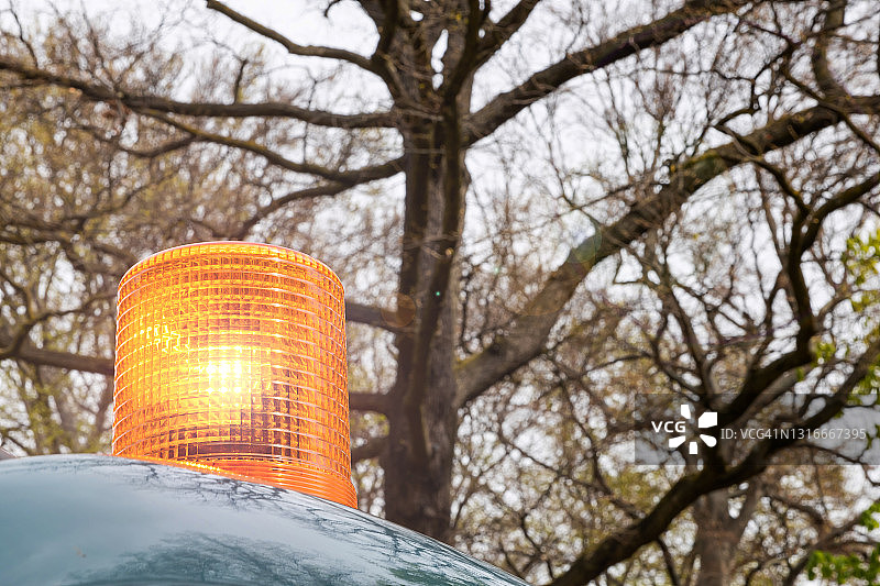带有光秃秃树木的警告灯图片素材
