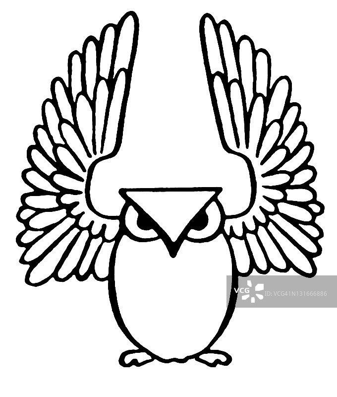 展开翅膀的猫头鹰图片素材