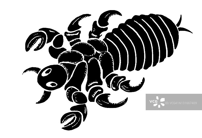 令人毛骨悚然的虫子图片素材