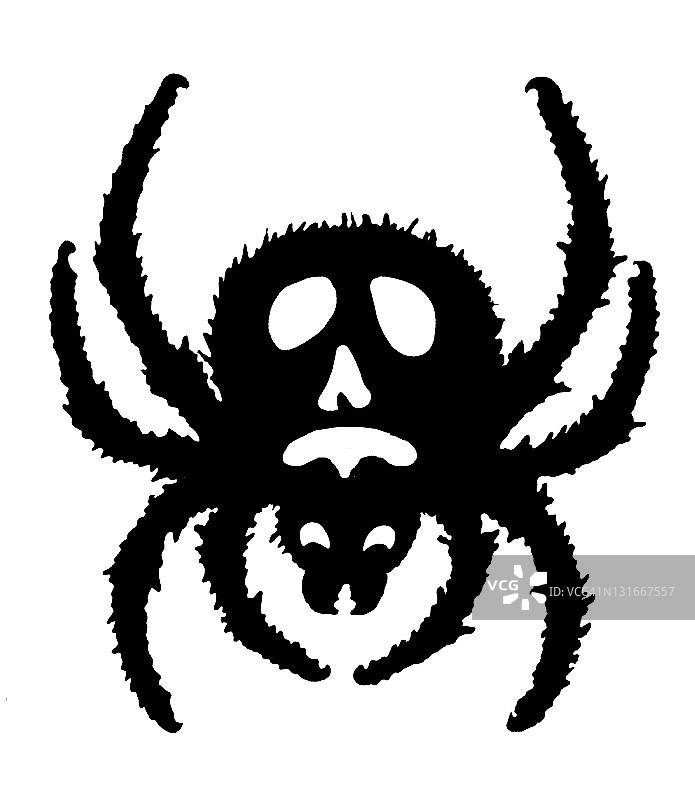 大黑蜘蛛图片素材