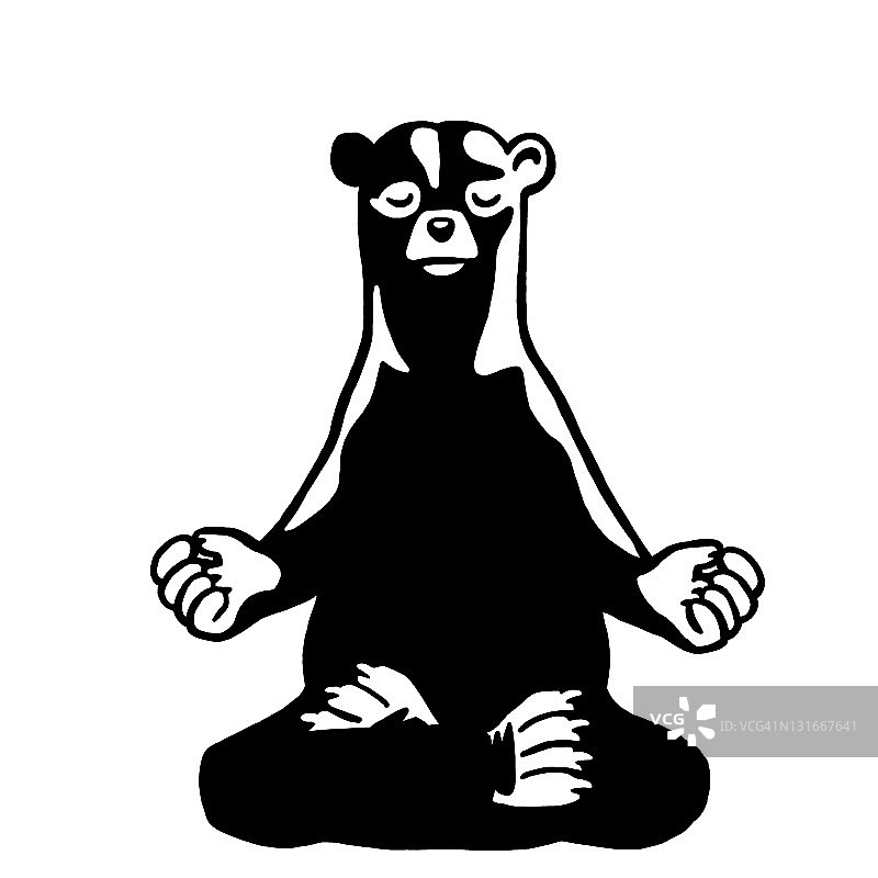 熊做瑜伽图片素材
