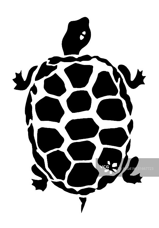 黑白海龟图片素材