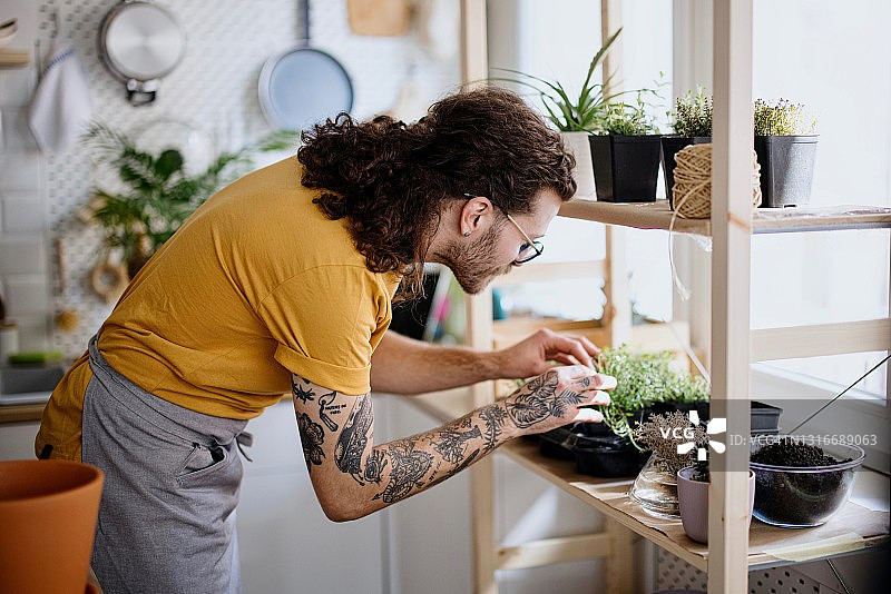 年轻男人照顾他的植物图片素材