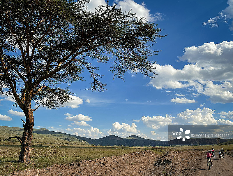 蜿蜒的土路，设有游客自行车道，以及大型非洲金合欢树和悬崖，肯尼亚旅游，2021图片素材