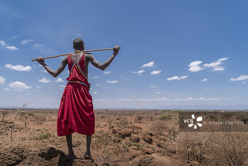马赛牧羊人眺望地平线图片素材