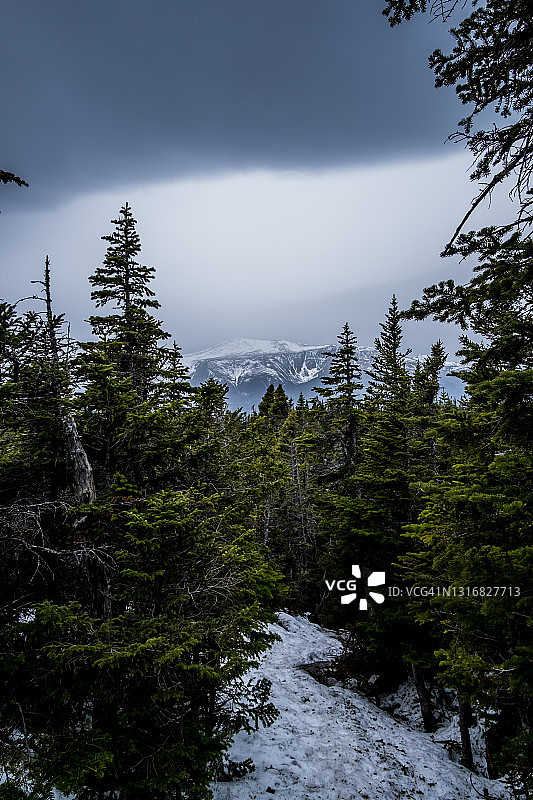野猫山脉图片素材