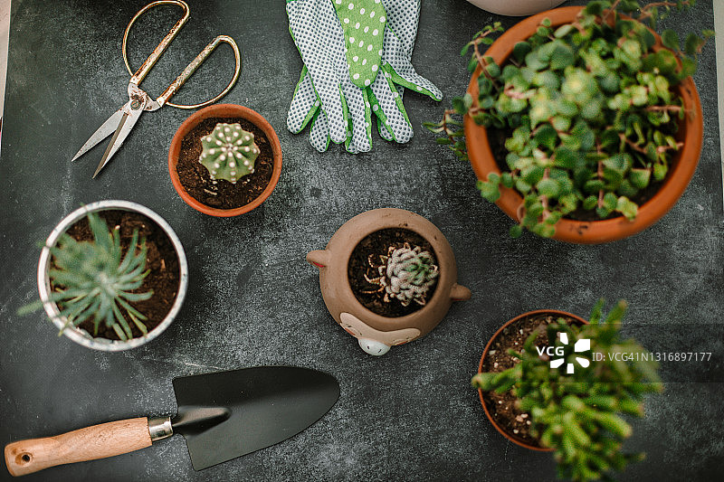 桌子上摆放的园艺设备俯视图图片素材