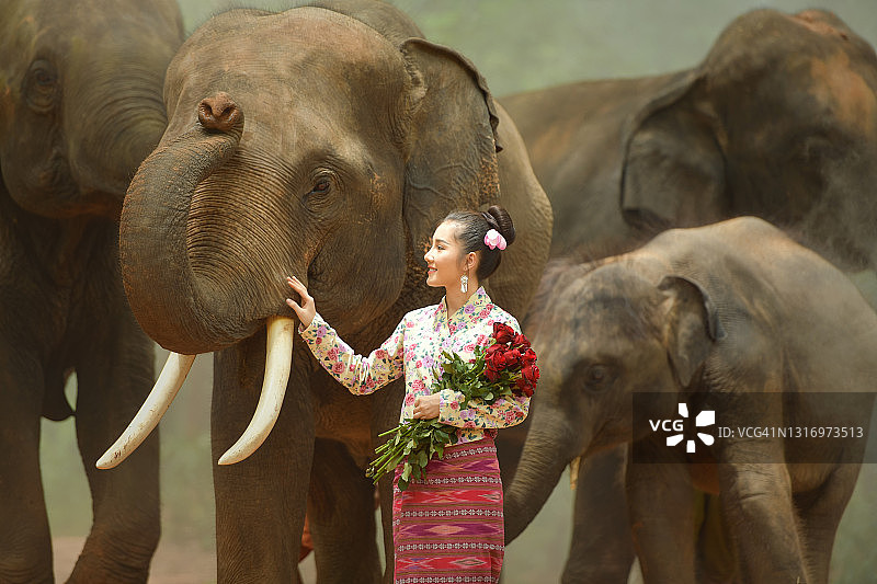 手持鲜花抚摸大象的漂亮女人，泰国图片素材