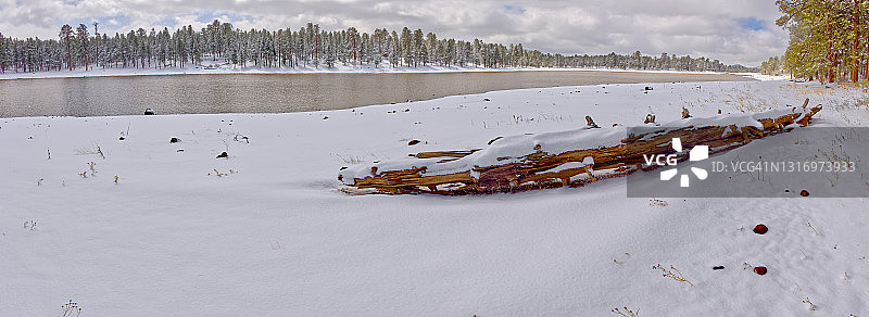 美国亚利桑那州凯巴布国家森林凯巴布湖畔被雪覆盖的漂流木图片素材
