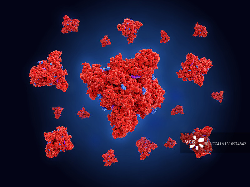 稳定的COVID-19新冠病毒刺突蛋白图片素材