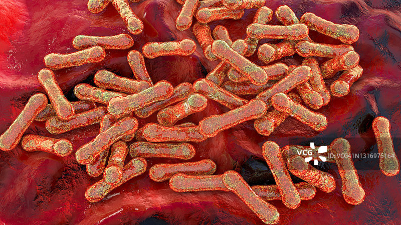 白喉棒状杆菌插图图片素材