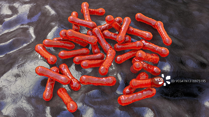 白喉棒状杆菌插图图片素材