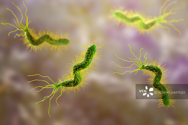 幽门螺杆菌图片素材