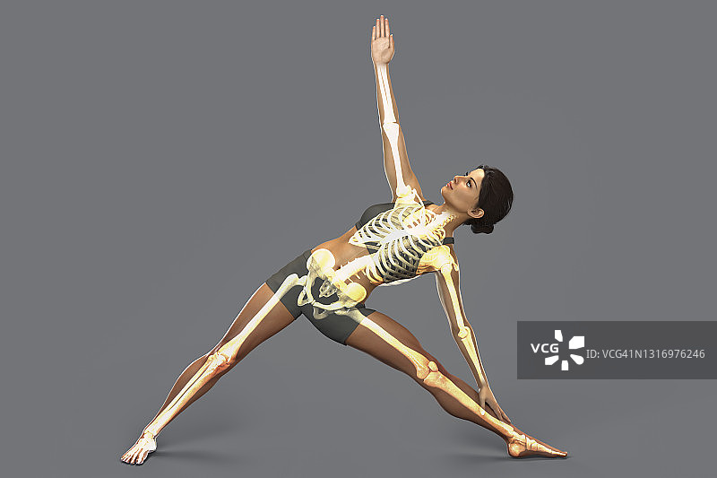 三角形瑜伽姿势的女人，插图图片素材