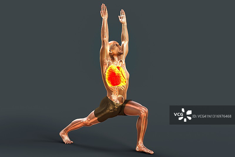 瑜伽中的呼吸调节图片素材