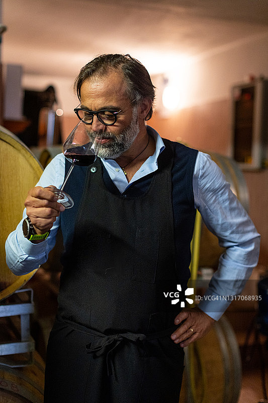 葡萄采摘后在意大利酒庄品酒：侍酒师肖像图片素材