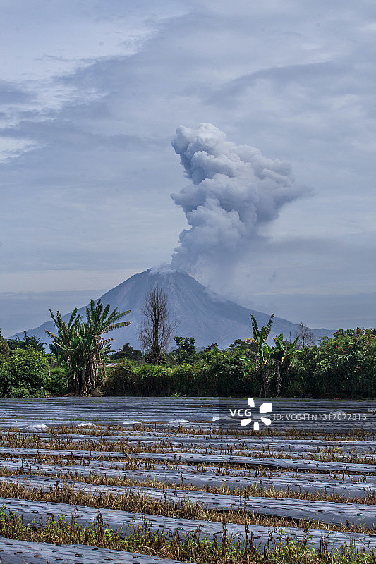 锡纳朋火山爆发背景下的农田图片素材