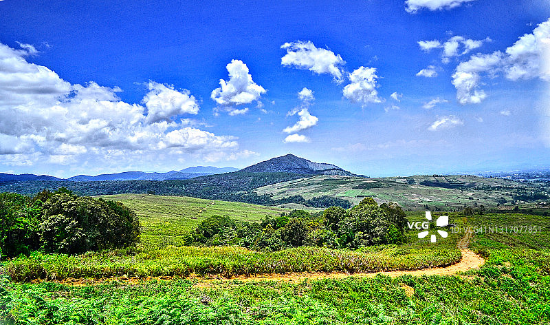 Puncak 2000的广阔田野图片素材