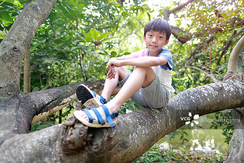 夏季男孩爬树图片素材