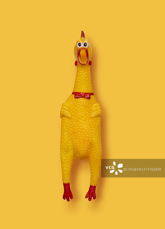 有趣的橡胶鸡图片素材