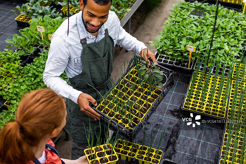 花园中心工人图片素材