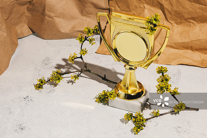 明亮白色背景，棕色纸张旁的金色奖杯图片素材