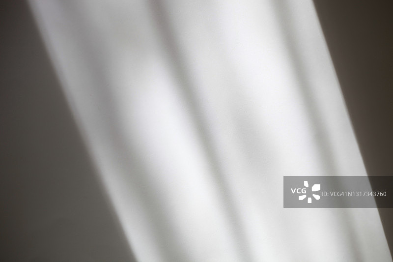 植物阴影白色背景叠加摄影效果图片素材