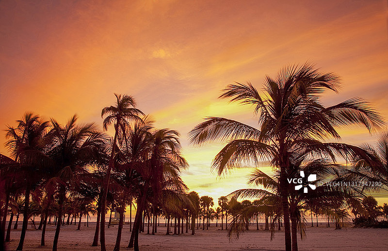 热带海滩日出图片素材
