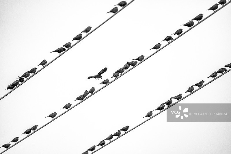 加拿大阿尔伯塔省农村图片素材