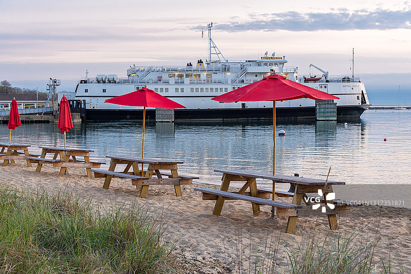 休赛期春季的马撒葡萄园图片素材