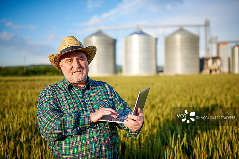 年长的农艺师在麦田里使用笔记本电脑图片素材