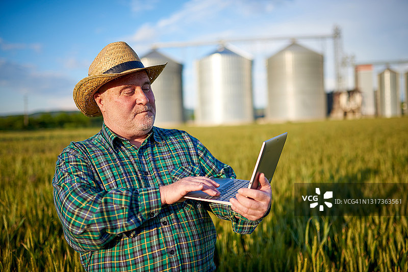 麦田里的资深农业学家图片素材