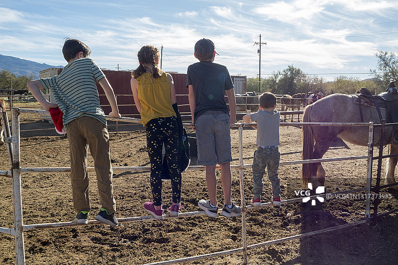 四个孩子在畜栏边欣赏马匹图片素材
