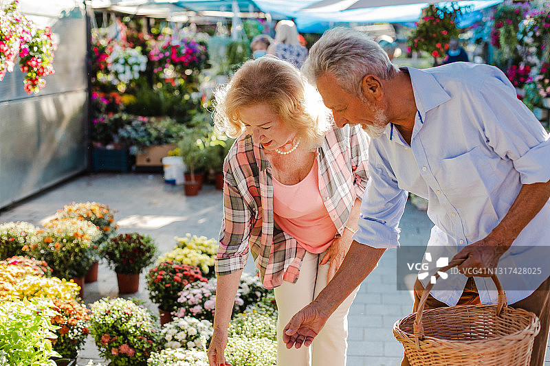 年长夫妇在市场上挑选香草和香料图片素材