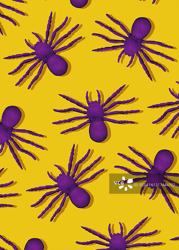 万圣节紫色蜘蛛图片素材