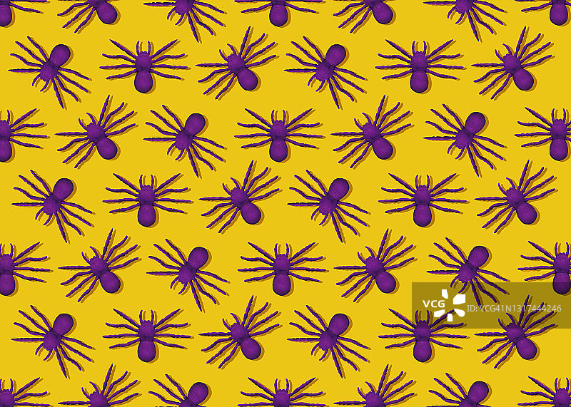 万圣节紫色蜘蛛图片素材