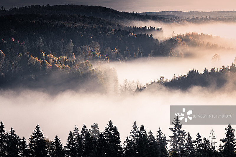 芬兰哈梅林纳奥兰科的雾蒙蒙的秋日森林图片素材