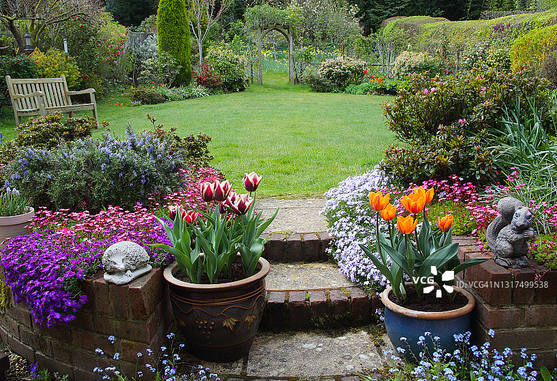 英式家庭花园，盆栽郁金香与露台台阶图片素材