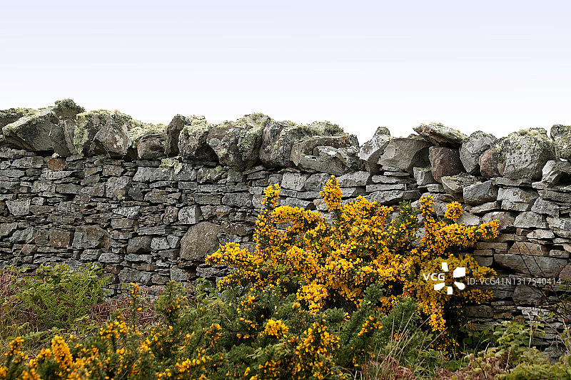 爱尔兰传统石墙图片素材