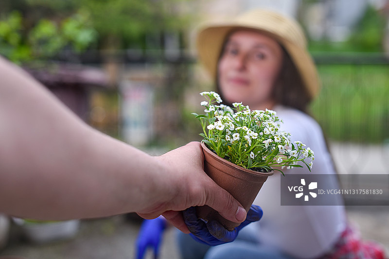 城市花园里伸出援助之手图片素材