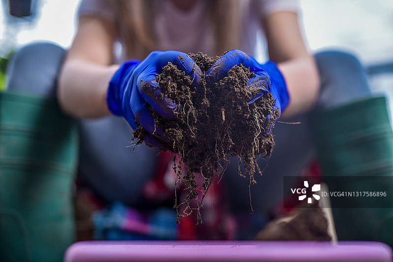 手捧带有植物根系的黑土的女园丁图片素材