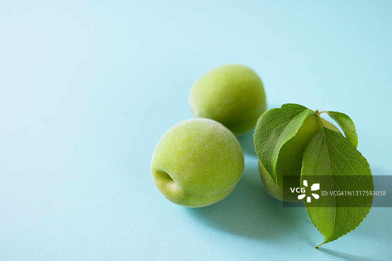 日本李子图片素材