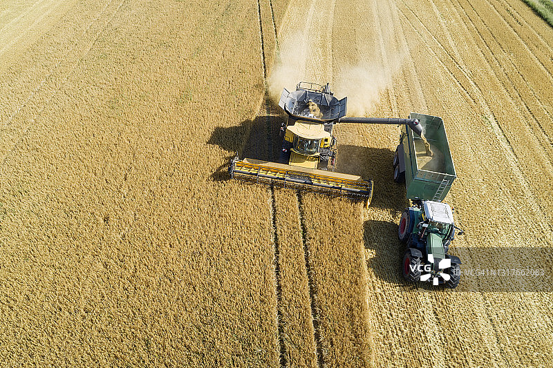 联合收割机向拖拉机上的拖车卸粮，德国巴伐利亚图片素材