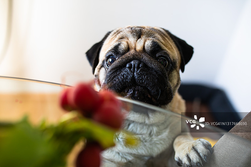 我希望我能更大图片素材