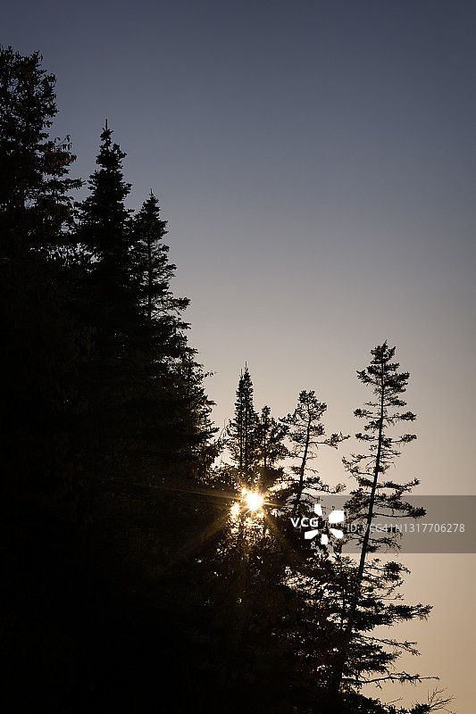 比克国家公园，林间阳光图片素材