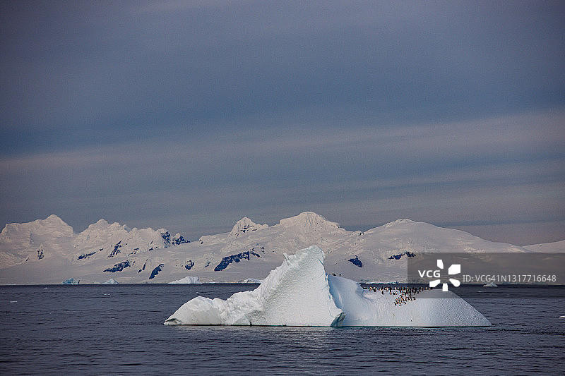 在南极的冰山图片素材