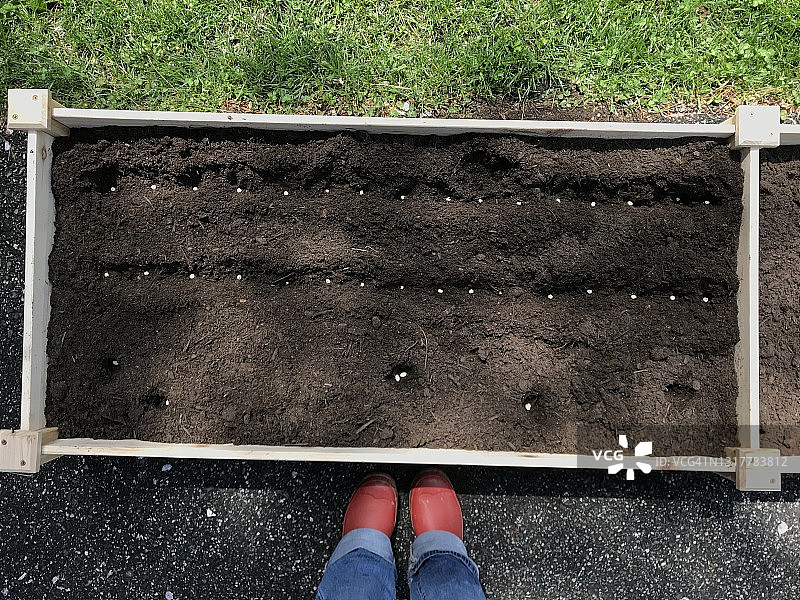 在 raised garden bed 种植种子的女性的主观视角图片素材