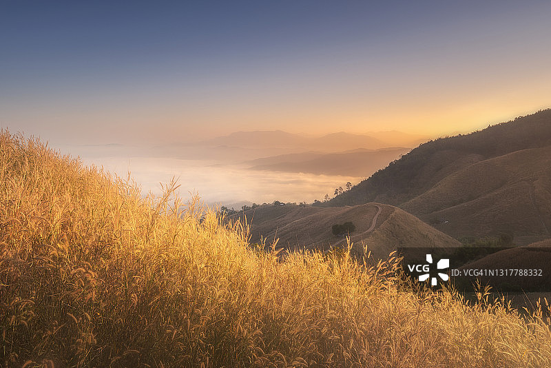 日出时分，金色的阳光照耀在山谷和秃山上，覆盖着雾海和金色的草地图片素材