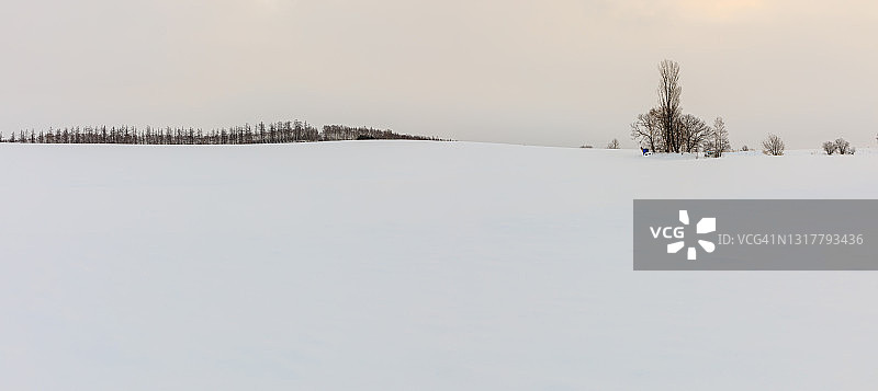 日本北海道美瑛町冬季景观图片素材